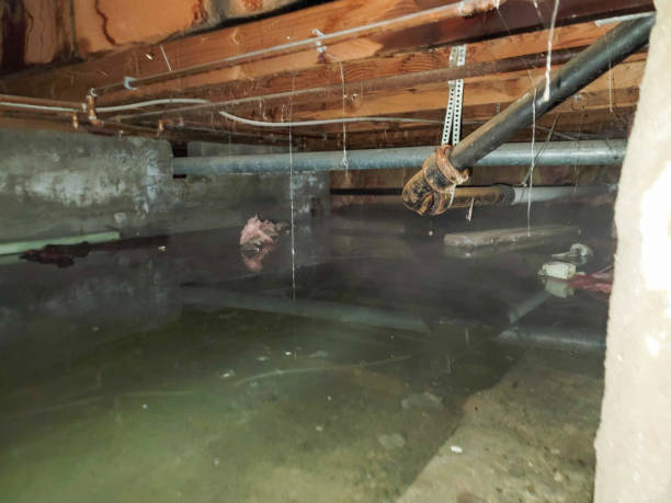  Wharton, TX Water damage restoration Pros
