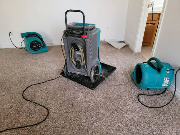 Best 24-hour water damage restoration  in Wharton, TX