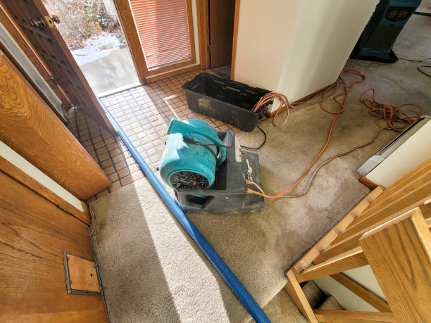 Best Mold removal after water damage  in Wharton, TX